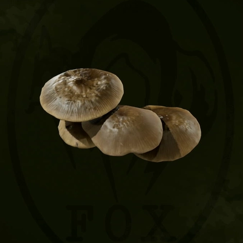 メタルギアデルタ_ロシアヒラタケ_アイコン